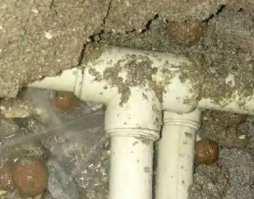 海陵测漏水多少钱