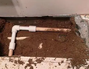 海陵测漏水哪家好