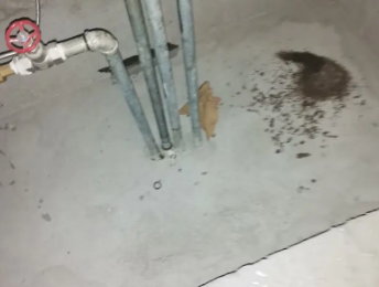 海陵卫生间测漏水价格明细